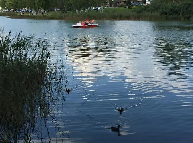 Апартаменты Sophia *